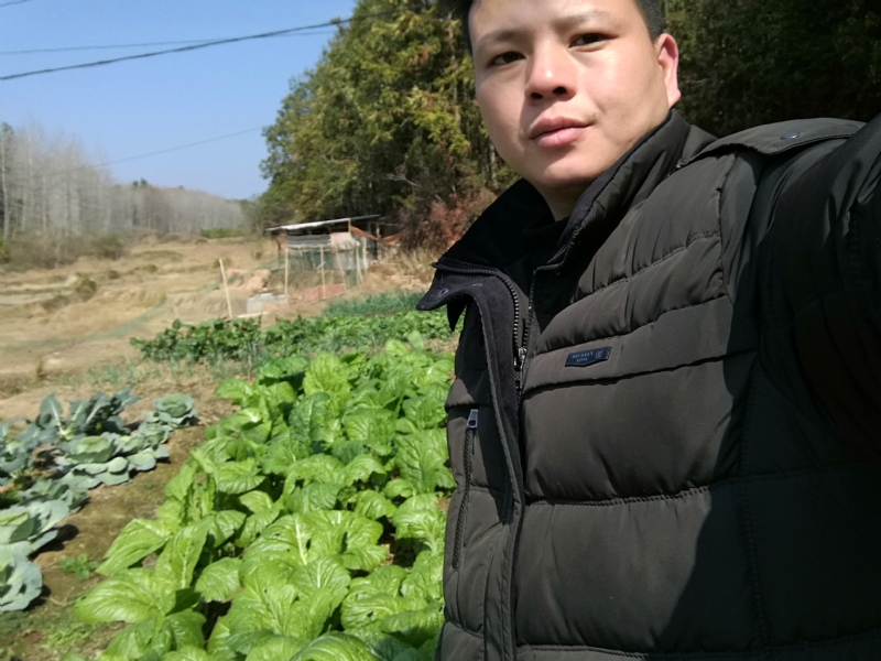 倔强的驴的第一张照片--寿宁相亲网