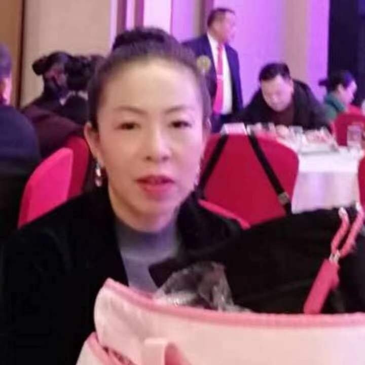 中秋桂花玉兔的第四张照片--寿宁相亲网