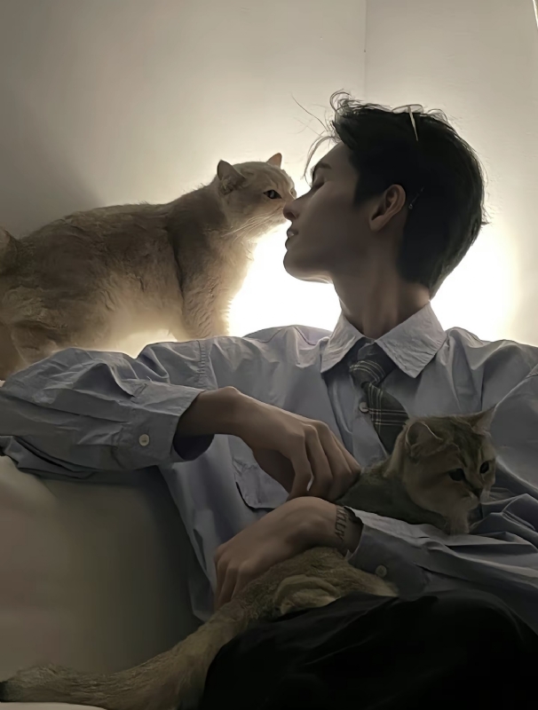 怪猫的第一张照片--寿宁相亲网