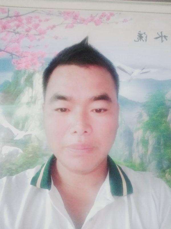 阳光男孩的第二张照片--寿宁相亲网